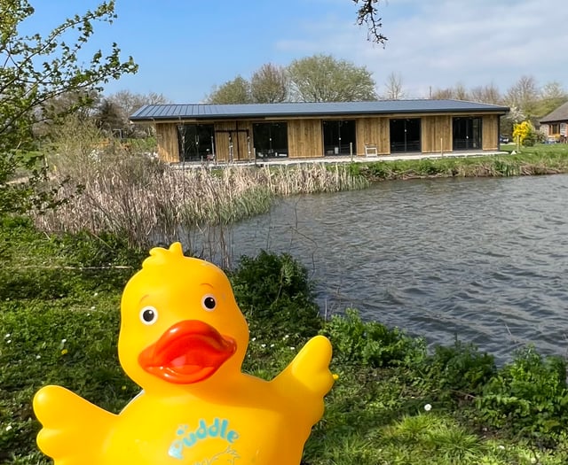 Puddle Ducks new pool launch