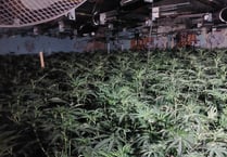 Avon and Somertset Police: how to identify a cannabis farm