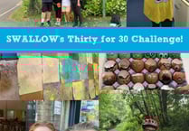Can you help SWALLOW raise funds for their 30th anniversary?