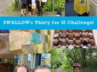Can you help SWALLOW raise funds for their 30th anniversary?