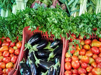 Oliver Jones talks ‘Organic  Gardening - Working with Nature’