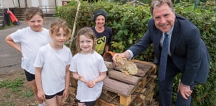 Creating new habitats for critters