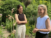 Growing food sustainably 