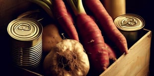 Man urges Council to go vegan