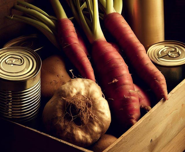 Man urges Council to go vegan