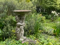 Chance to visit contrasting gardens in secluded spot