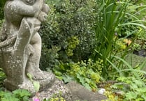 Chance to visit contrasting gardens in secluded spot