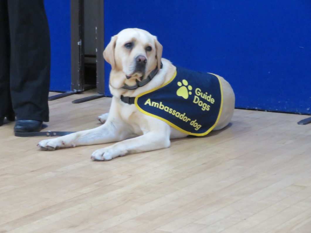 u3a learn about guide dog selection process