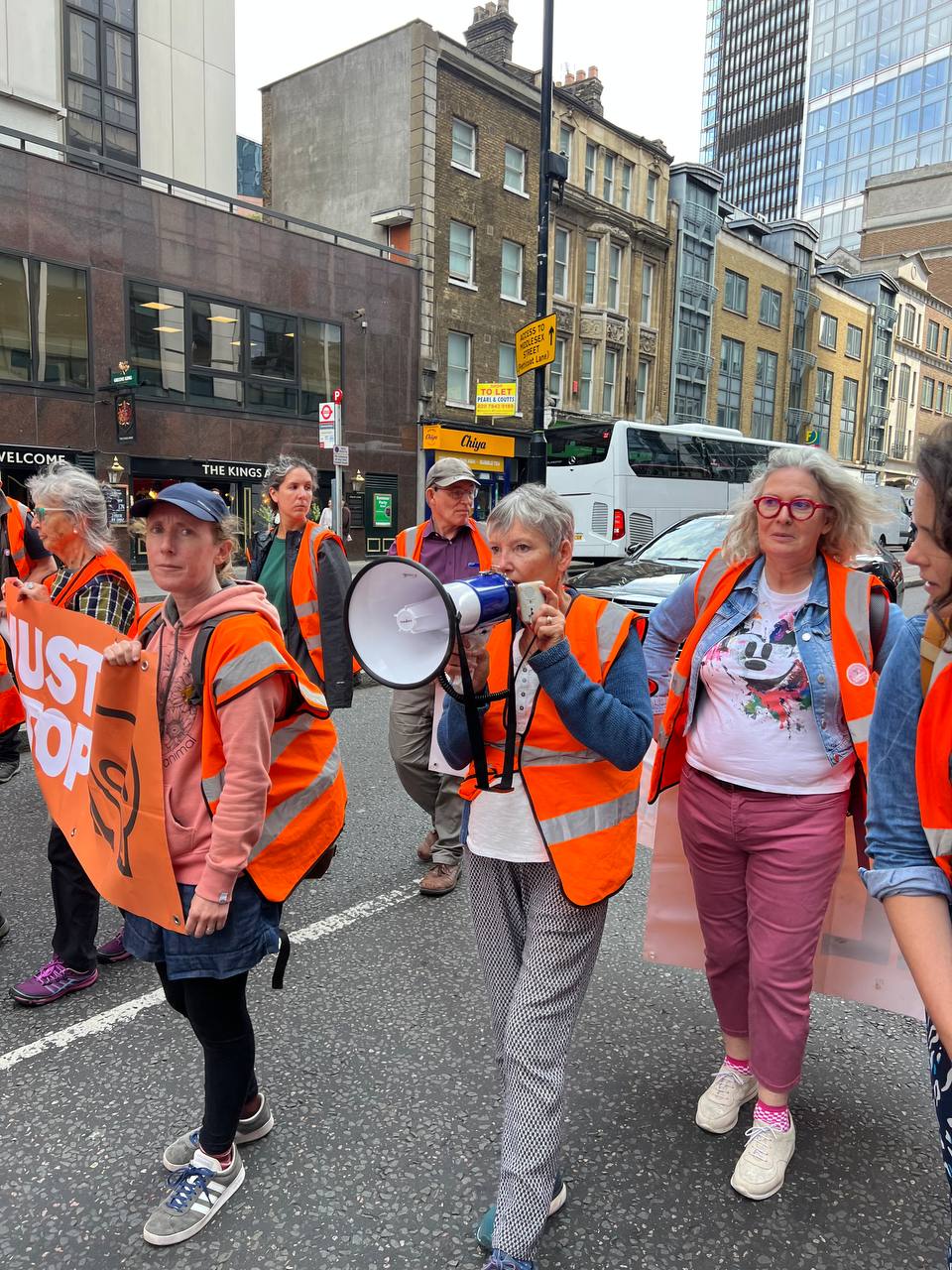 Just Stop Oil mother arrested