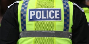 Police or Council?