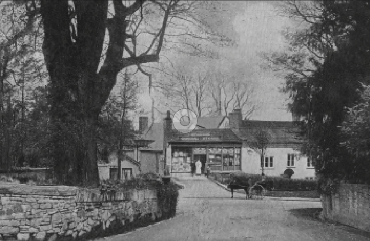 Can you guess this month's Mystery Photograph?