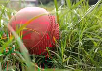 Timsbury beat Bath by seventy wickets