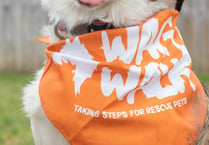 Calling all four-legged ‘Walkies’ fans and their owners!Join in the Wag Walk and take steps for rescue pets