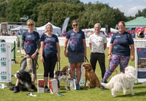 Furry friends compete at world's largest agility festival