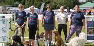 Furry friends compete at world's largest agility festival