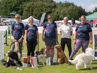 Furry friends compete at world's largest agility festival