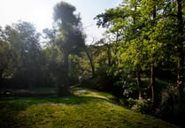 Free Nature and Wellbeing Programme starting in Westfield and Radstock