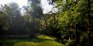 Somer Valley Green Spaces project
