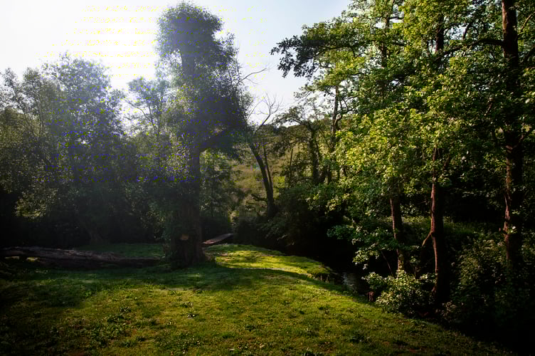 Somer Valley Rediscovered Project are working alongside EcoWild to host a Nature and Wellbeing Course. 