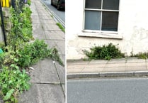 Issues with weeds as Council no longer uses weedkiller