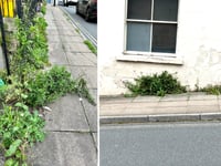 Issues with weeds as Council no longer uses weedkiller