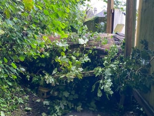 Fallen tree blocking footpath