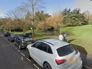 Royal Victoria Park restorative works