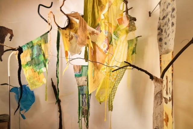 Somerset Open Studios: pay a visit to Fiona Campbell's 'artivism'