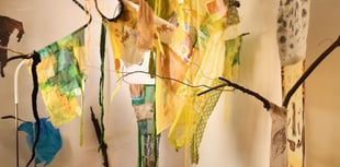 Somerset Open Studios: pay a visit to Fiona Campbell's 'artivism'