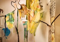 Somerset Open Studios: pay a visit to Fiona Campbell's 'artivism'