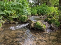 "save water, save money": Chew Valley face future water supply issues