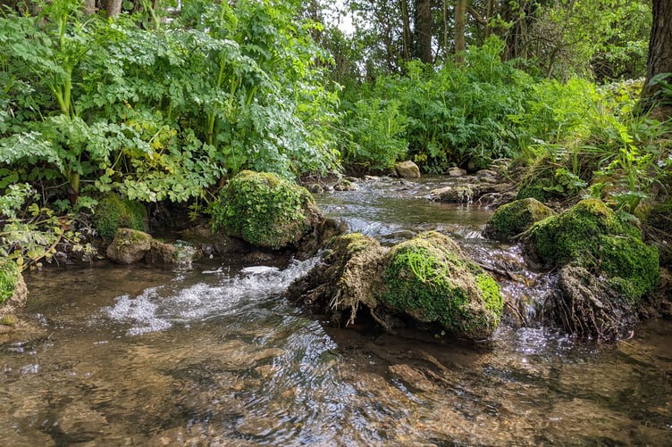 river bishop sutton
