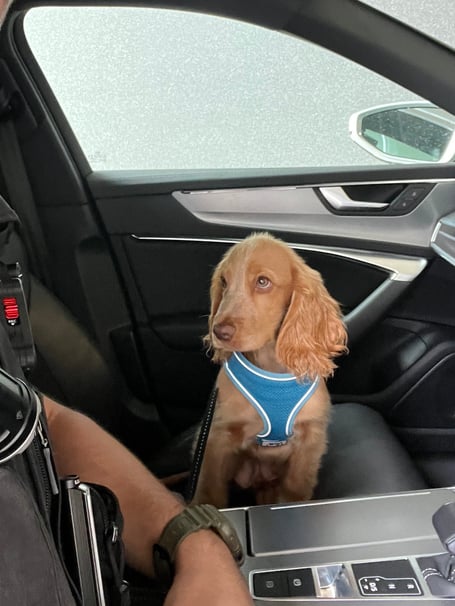 AS Police drink driving