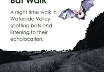 Somer Valley Rediscovered are going batty!