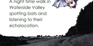 Somer Valley Rediscovered are going batty!