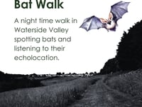 Somer Valley Rediscovered are going batty!