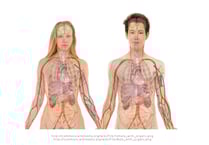 Surgeries thank Osteoporosis talk attendees 