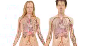 A talk on Osteoporosis