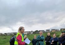 Waterside Valley played host to well-attended Bat Walk thanks to Somer Valley Rediscovered