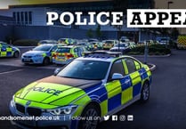 Head injury assault 