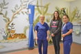 New mural reassures young RUH surgery patients