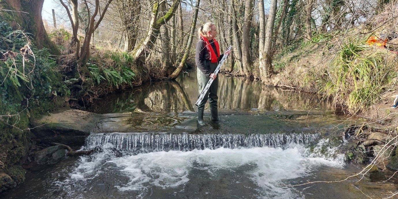 BART awarded £134,000 to improve critically  endangered Eels