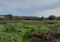 Free Rangers Forest School to bring the community together in new garden project