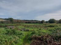 Free Rangers Forest School to bring the community together in new garden project