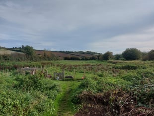 Free Rangers Forest School to bring the community together in new garden project