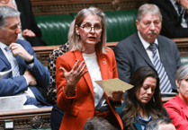 Wera Hobhouse speaks out on Moles closure in Parliament