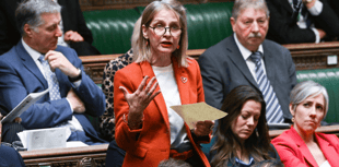 Wera Hobhouse speaks out on Moles closure in Parliament