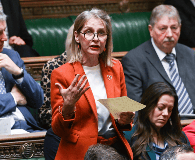 Wera Hobhouse speaks out on Moles closure in Parliament