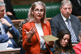 Wera Hobhouse speaks out on Moles closure in Parliament