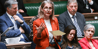 Wera Hobhouse highlights 'Language for Life' programme in Parliament